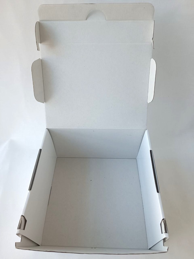 BOX Salvietta Softsan 30x40cm  100 salviette