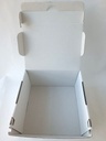 BOX Salvietta Softsan 30x40cm  100 salviette