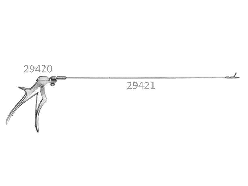 29421_a.jpg