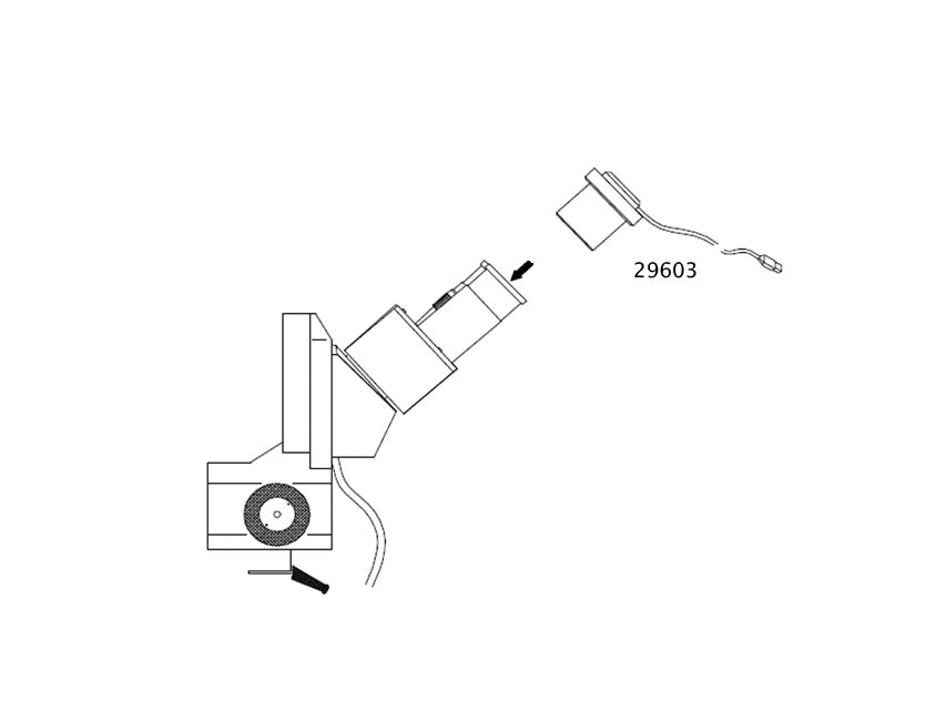 29603_a.jpg
