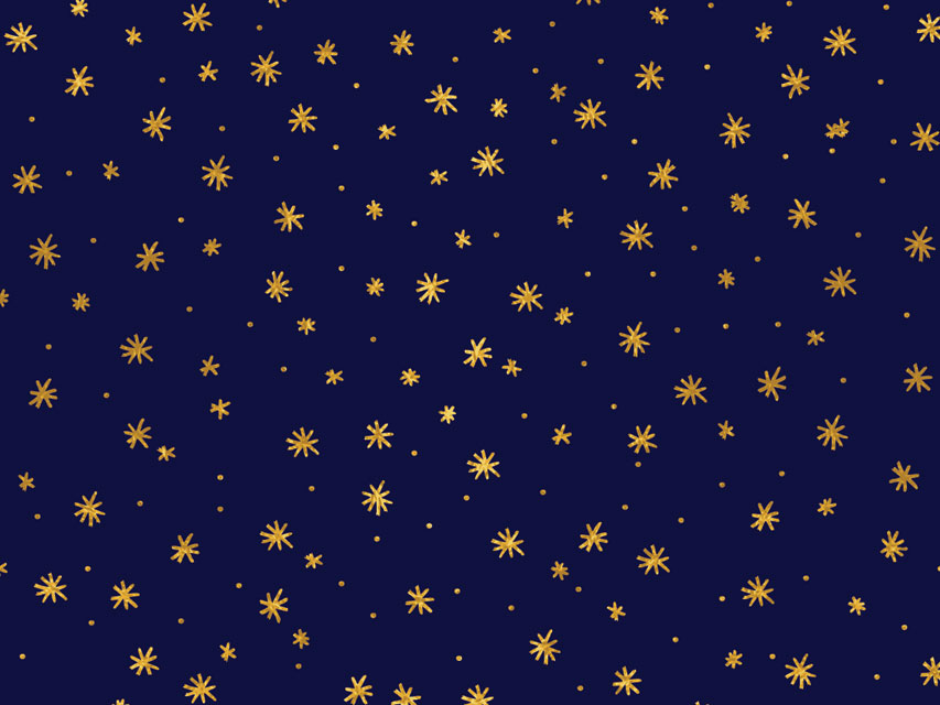 20815_b.jpg