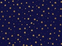 20815_b.jpg
