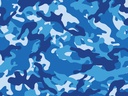 20816_b.jpg