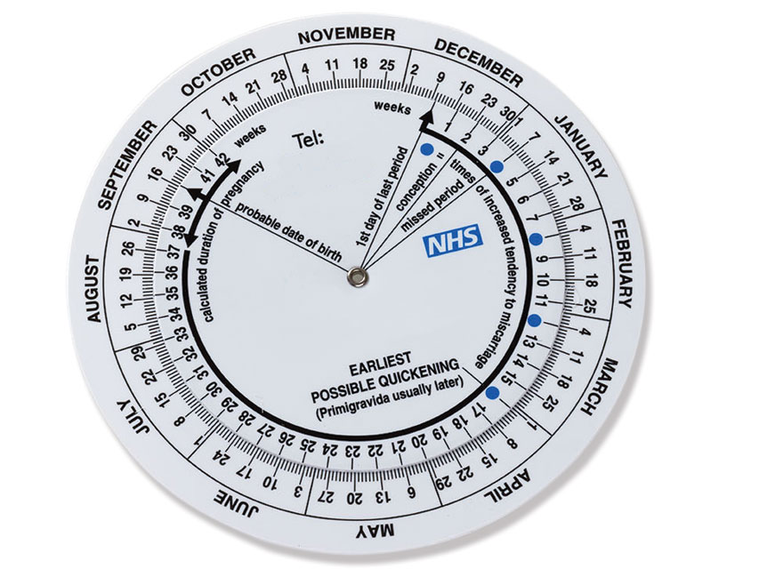 PREGNANCY DISC