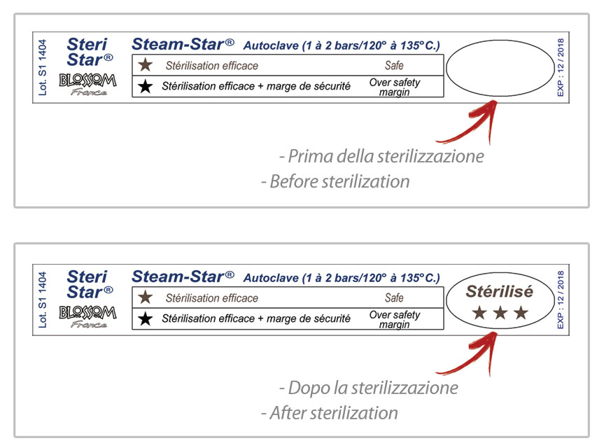 STEAM STAR AUTOCLAVE TEST