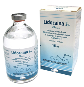 Lidocaine hydrochloride 200 mg 2% ampoule 10 ml
