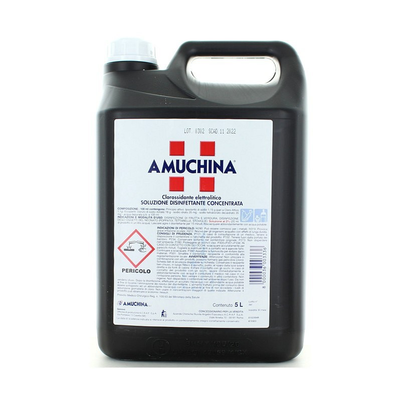 Amuchina 100% professional 5 l