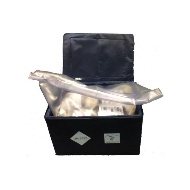 Isothermal bag for transporting blood components