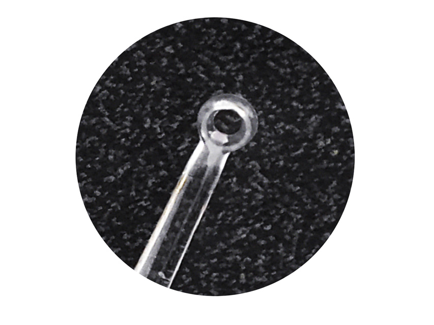 MICRO LOOP - transparent + 1 LED illuminator