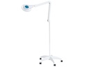 MS LED PLUS LAMP - on trolley