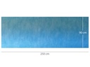 ABSORBENT WATERPROOF RUG 90 x 250 cm