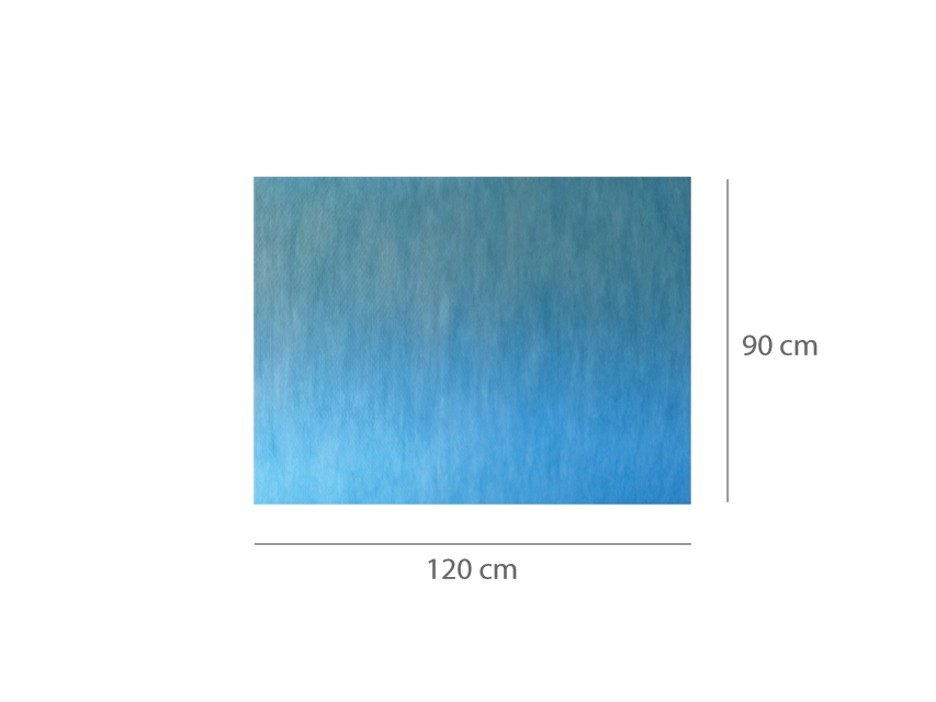 ABSORBENT WATERPROOF PATTERN 90 x 120 cm