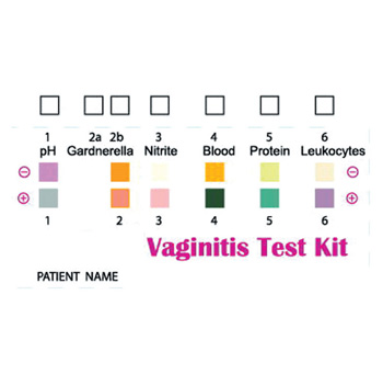 [29111] MULTIPLE VAGINITIS TEST