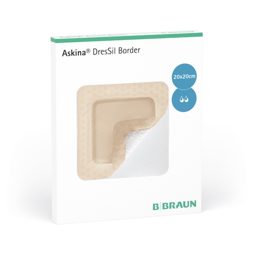 [5391010] ASKINA DRESSIL BORDER - 10X10CM