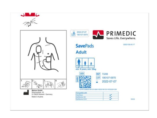 [GM-28262] SAVE PADS+CAVOin >8 years for 33384/5 to S.N. 738XXXXX