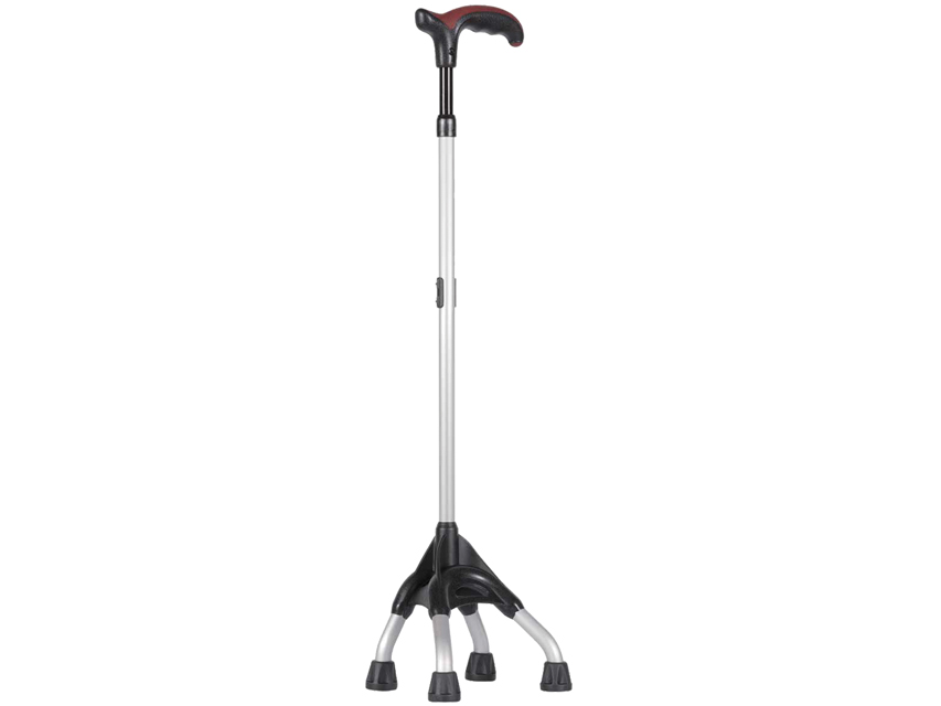[43075] STABLE WALKING STICK