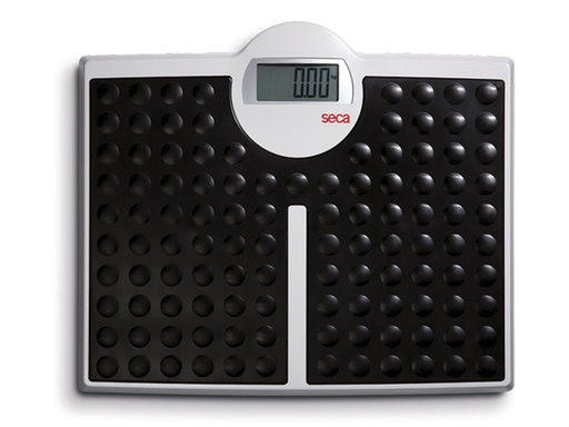 [27265] SECA 813 DIGITAL FLAT SCALE