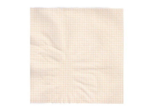 [32950] ECG thermal paper 215x25 mmxm orange grid roll