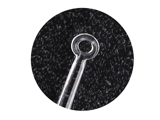 [31466] ALGEL LOOP - transparent + 1 LED illuminator