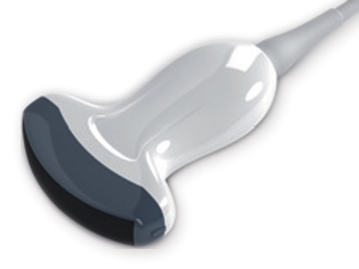 [33953] CONVEX 3.5 MHz probe for code 33965-6, 33877, 33882-3