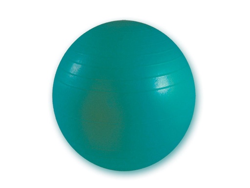 [47103] RESISTANT BALL diameter 65 cm - green