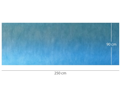 [25154] ABSORBENT WATERPROOF RUG 90 x 250 cm