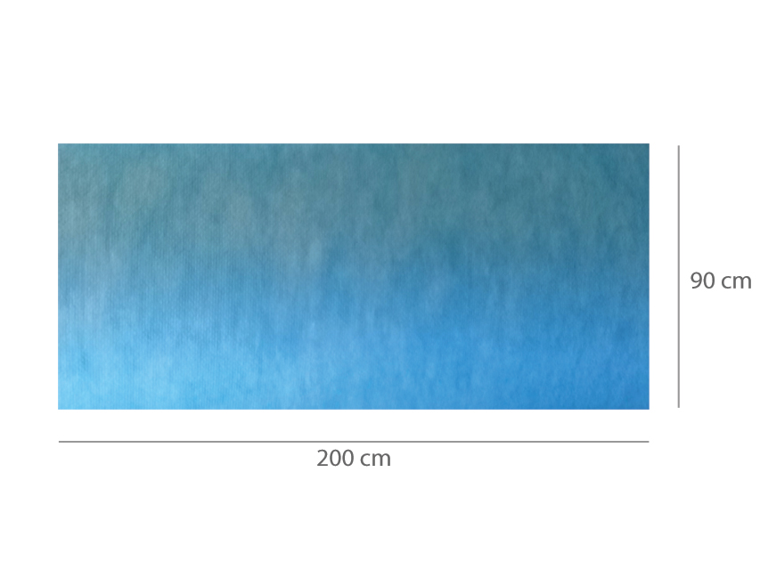 [25153] ABSORBENT WATERPROOF MAT 90 x 200 cm