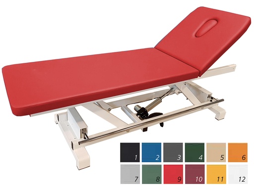 [44525] ELECTRIC HEIGHT ADJUSTABLE VISITING BED with perimeter bar - choice of colour