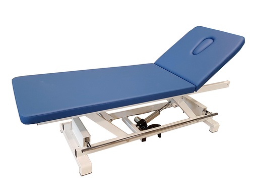 [44520] ELECTRIC HEIGHT ADJUSTABLE VISITING BED with perimeter bar - blue