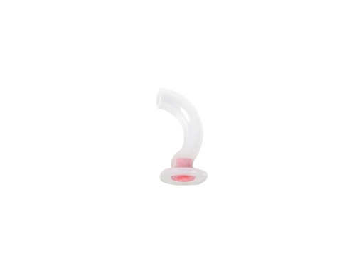[GM-30592] GUEDEL'S CANNAS 40 mm - neonates (pink)