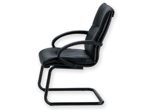 [45122] ARMCHAIR VIS. EXECUTIVE SALISBURGO - leather