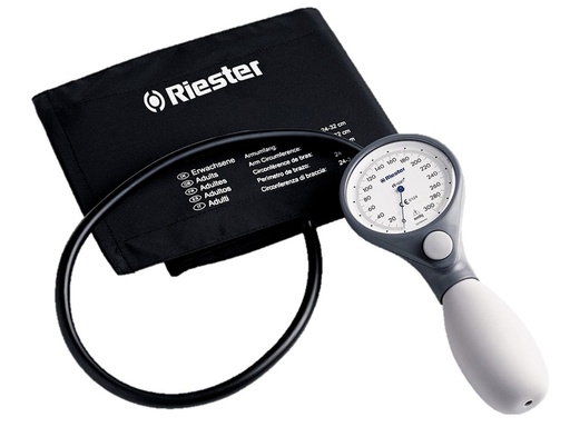 [32721] SFIGMO RI-SAN RIESTER - slate grey