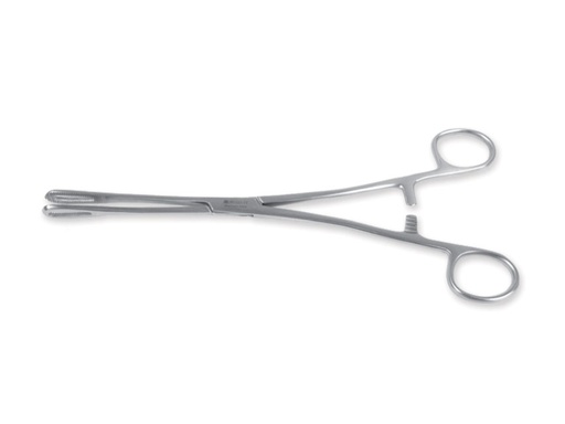 [GM-31349] RAMPLEY PLIER - 18 cm