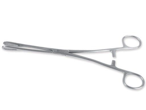 [GM-31351] RAMPLEY PLIER - 24 cm